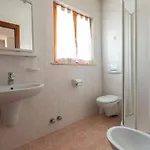 Olta ليفينو
